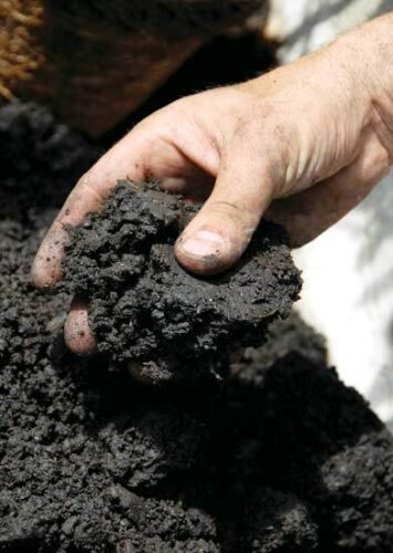 Amend Soil for Better Gardens